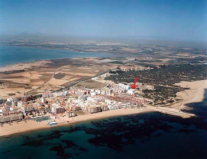 Apartament Pinada Beach Torre La Mata Zimmer foto