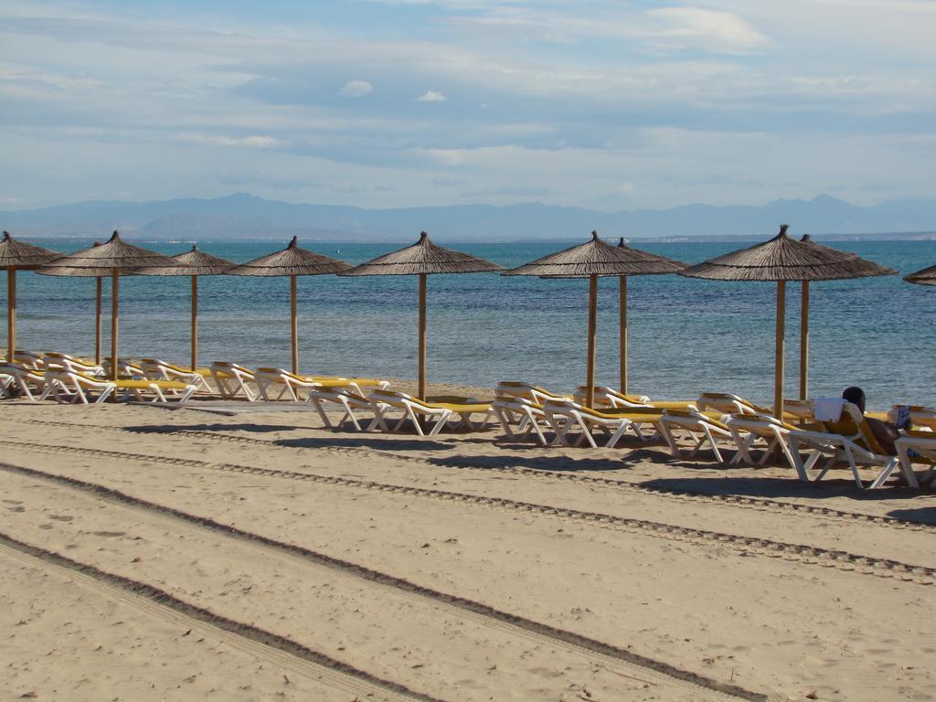 Apartament Pinada Beach Torre La Mata Zimmer foto